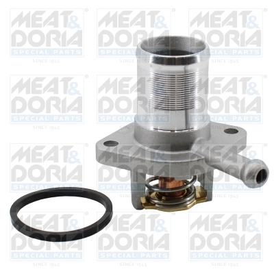 Thermostat, coolant